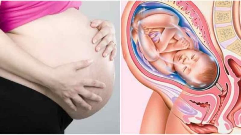 thai nhi quay đầu mấy lần