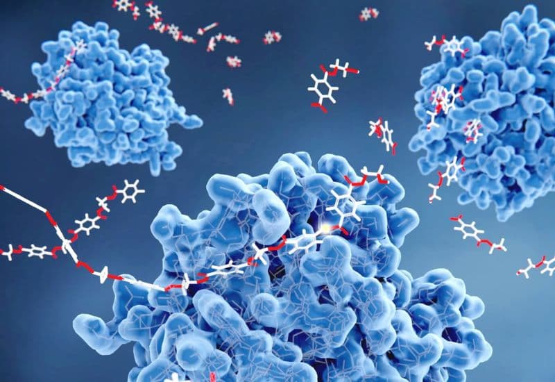 thuốc chữa rối loạn tiêu hóa cho người lớn