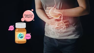 Uống men tiêu hóa có tăng cân không và sự thật cần biết