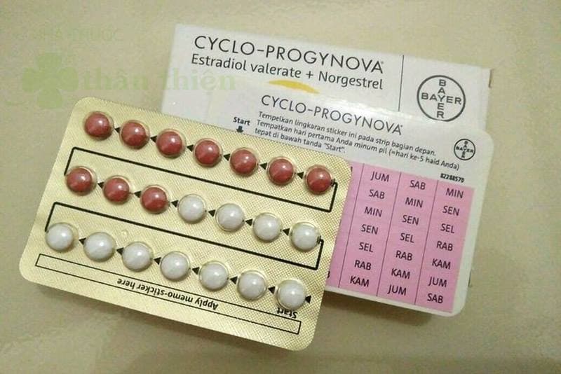 uống thuốc Progynova có rụng trứng không