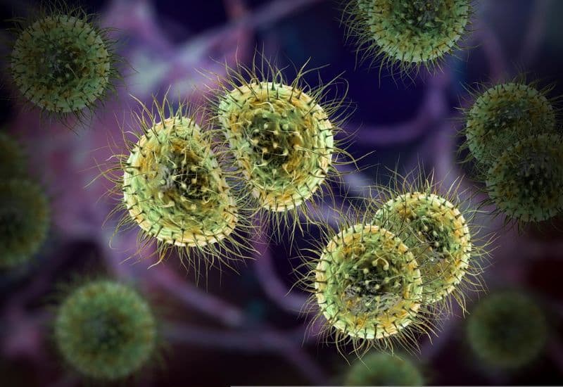 vắc xin viêm màng não mô cầu acyw