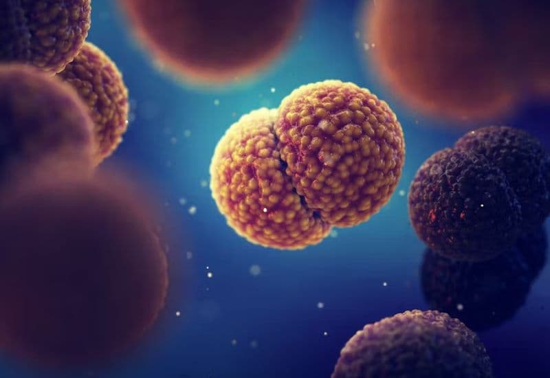 vắc xin viêm màng não mô cầu nhóm b