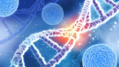 Xét nghiệm đột biến gen ung thư buồng trứng