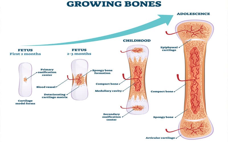 18 tuổi còn tăng chiều cao được không