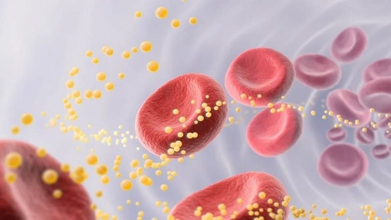 các bệnh liên quan đến rối loạn chuyển hóa lipid