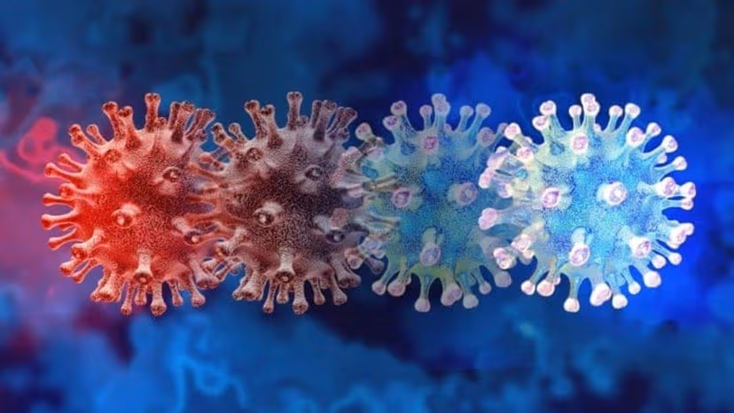 Biến thể Covid “ve sầu” BA.3.2 có nguy hiểm không?