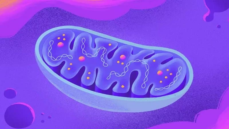 rối loạn chuyển hóa di truyền