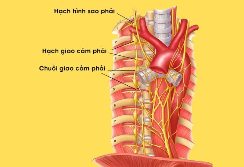 cắt hạch giao cảm có đau không