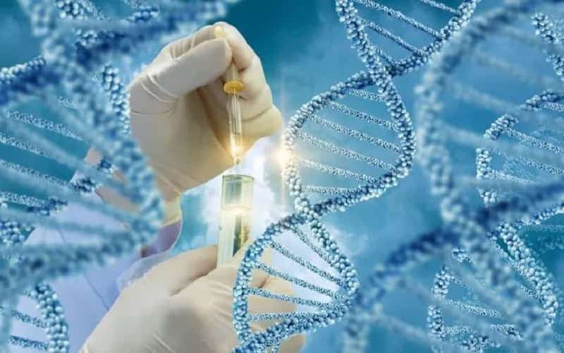 rối loạn chuyển hoá purine và pyrimidine