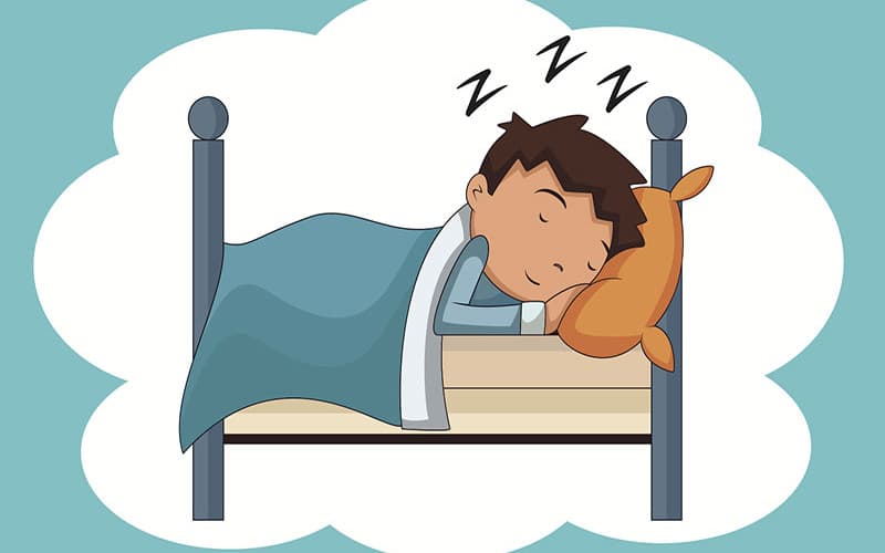 chuyển hóa mỡ thành năng lượng