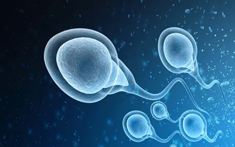 1 lần xuất tinh mất bao nhiêu dinh dưỡng