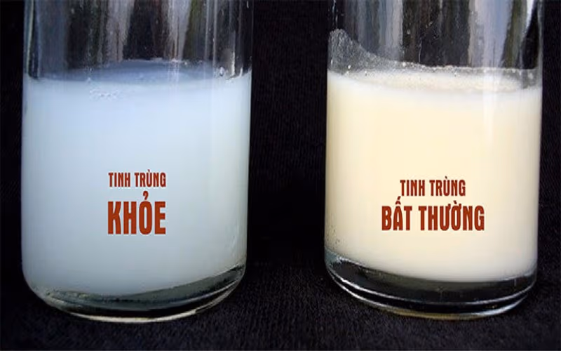 1 lần xuất tinh mất bao nhiêu dinh dưỡng