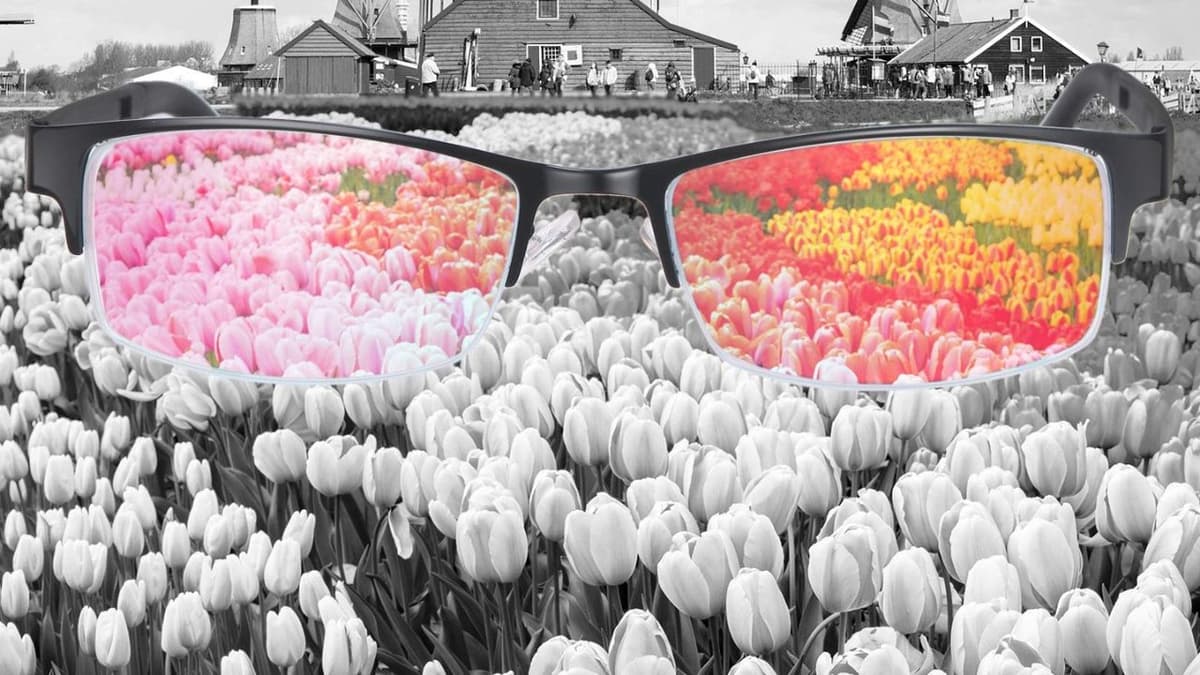 Mù màu xanh đỏ là gì?