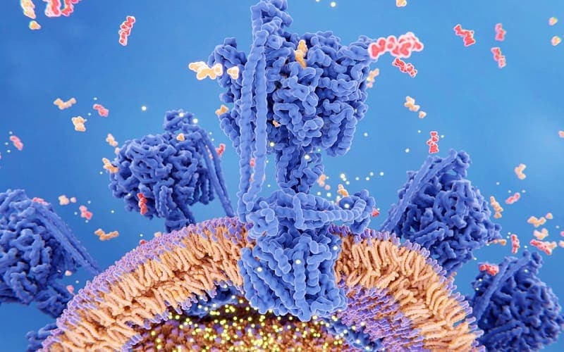 rối loạn chuyển hóa pyruvate và tân tạo glucose