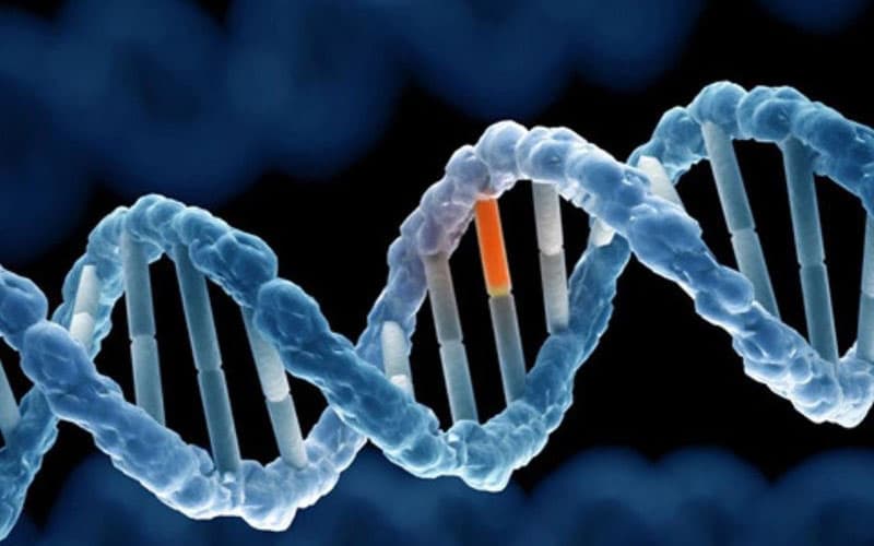 rối loạn chuyển hóa bẩm sinh là gì