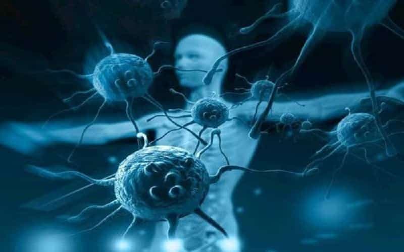 rối loạn chuyển hoá purine và pyrimidine