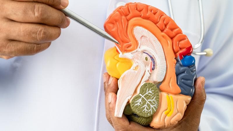 bệnh alzheimer liên quan đến rối loạn chuyển hóa