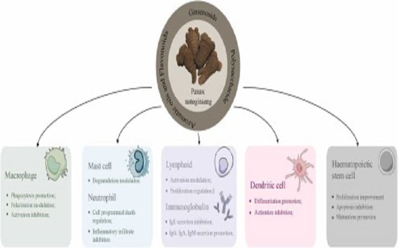 polyp đại tràng uống tam thất được không