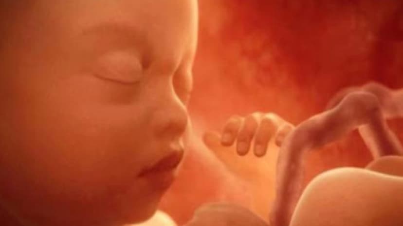 Thai 31 tuần phát triển như thế nào – Giải đáp cho mẹ bầu