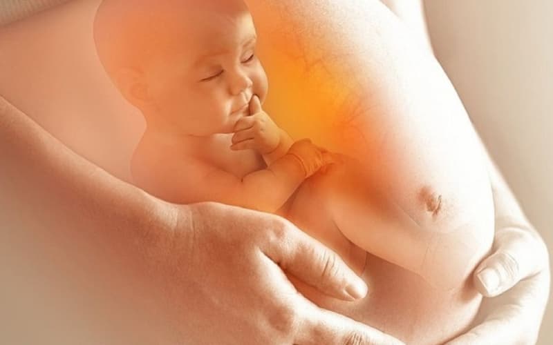 thai 31 tuần phát triển như thế nào