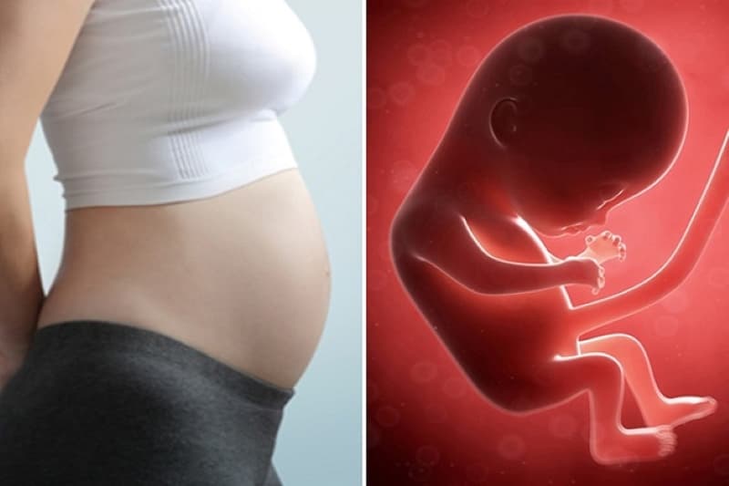 thai nhi 15 tuần tuổi phát triển như thế nào