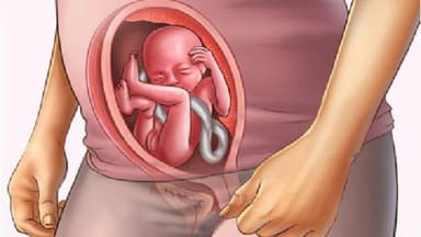 Thai nhi 16 tuần tuổi phát triển như thế nào?