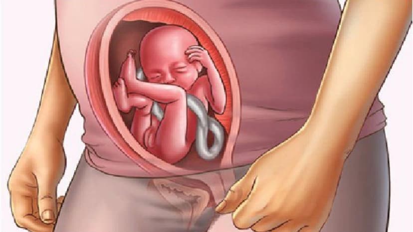 Thai nhi 16 tuần tuổi phát triển như thế nào?