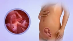 Thai nhi 20 tuần tuổi phát triển như thế nào?