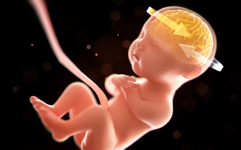 thai nhi 26 tuần tuổi phát triển như thế nào