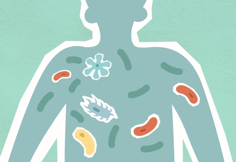 thế nào là chuyển hóa năng lượng