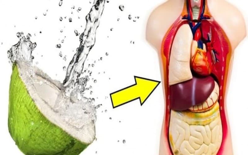 viêm bàng quang uống nước gì