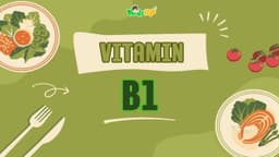 Vitamin B1 cần thiết cho quá trình chuyển hóa không?