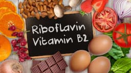Vitamin B2 cần thiết cho quá trình chuyển hóa?