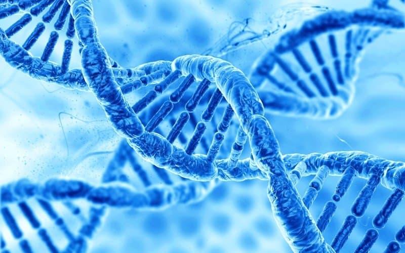 tăng tiết mồ hôi có di truyền không