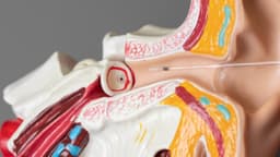 Đặt ống thông khí màng nhĩ có nguy hiểm không?