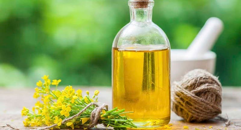 so sánh dầu hướng dương và dầu hạt cải