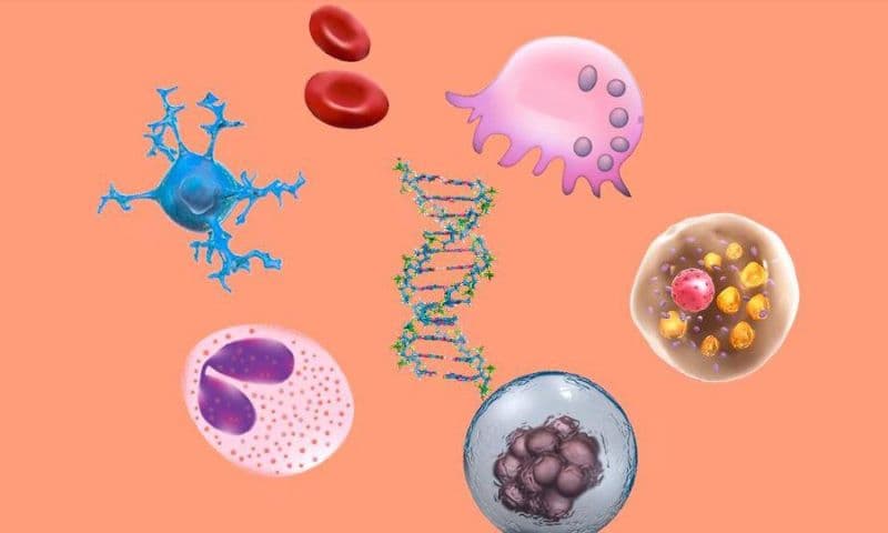 tổn thương tế bào não