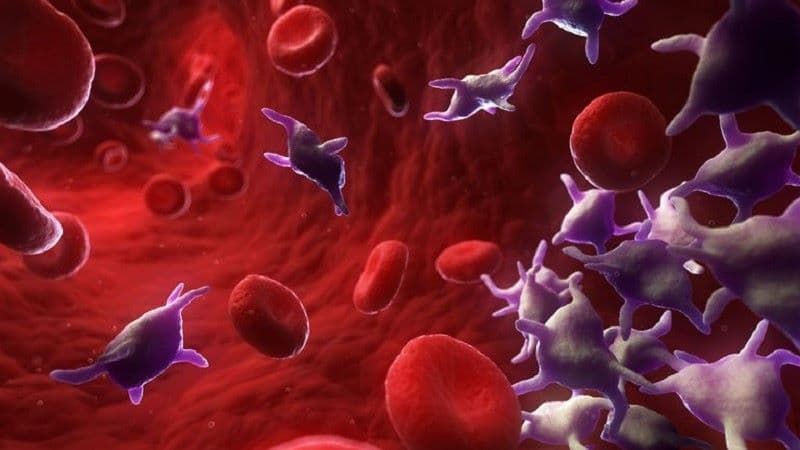 chống kết tập tiểu cầu kép trong nhồi máu não