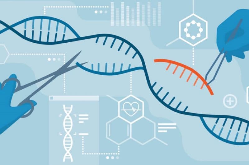 bất thường nhiễm sắc thể số 2