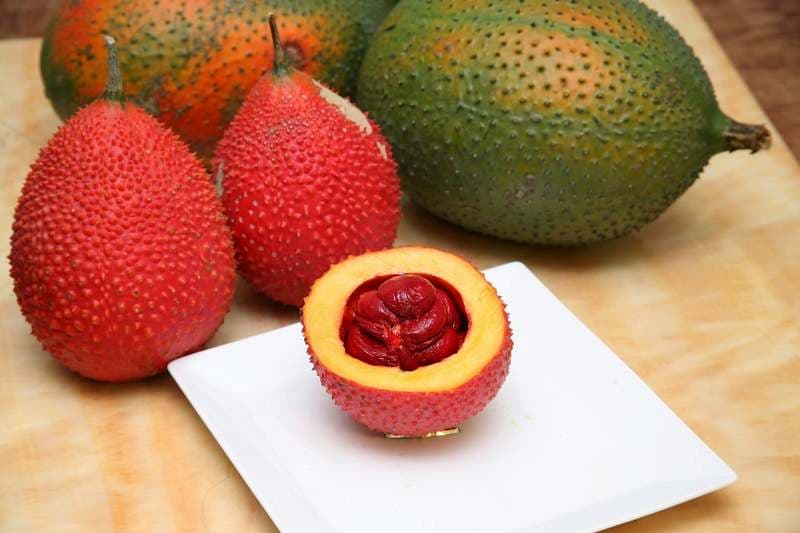 dầu gấc có tác dụng gì