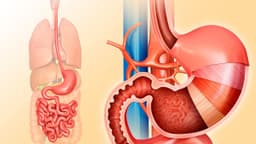 Tìm hiểu ung thư biểu mô dạ dày có nguy hiểm không