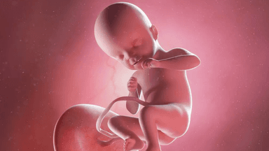 Chiều dài xương đùi của thai nhi 28 tuần