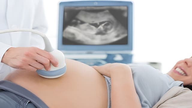 Chiều dài xương mũi thai nhi 27 tuần