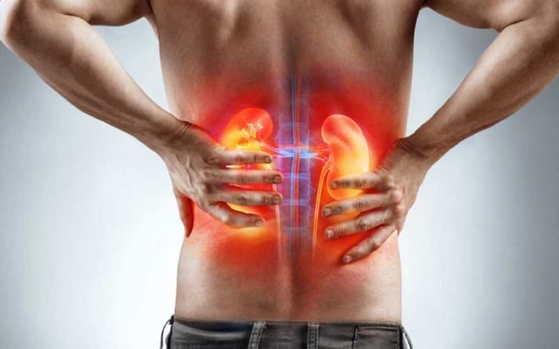 egfr bao nhiêu là suy thận