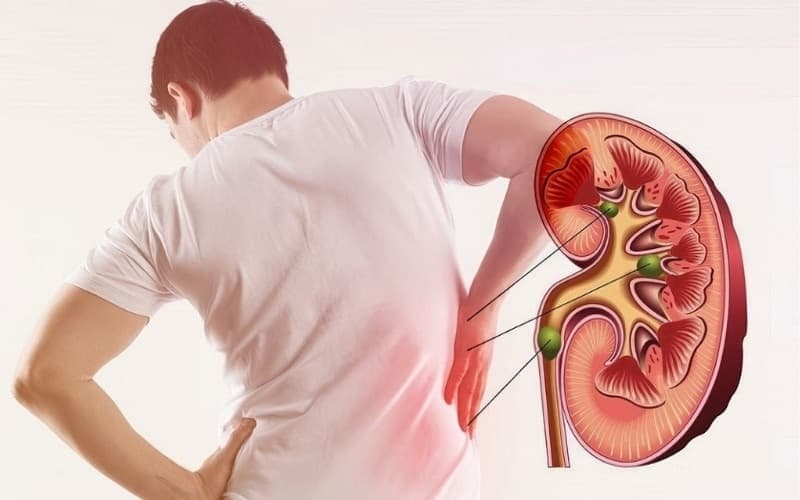 egfr bao nhiêu là suy thận