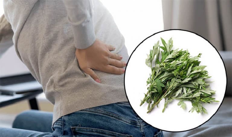 chườm ngải cứu chữa đau lưng