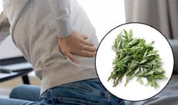 Chườm ngải cứu chữa đau lưng được không?