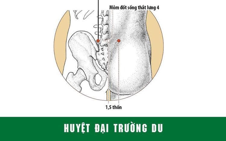 xoa bóp bấm huyệt đau thắt lưng