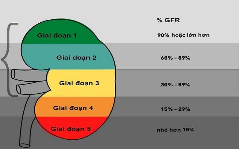 egfr bao nhiêu là suy thận