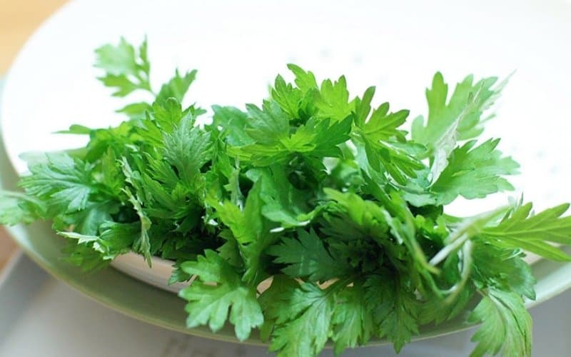 thoát vị đĩa đệm chườm ngải cứu